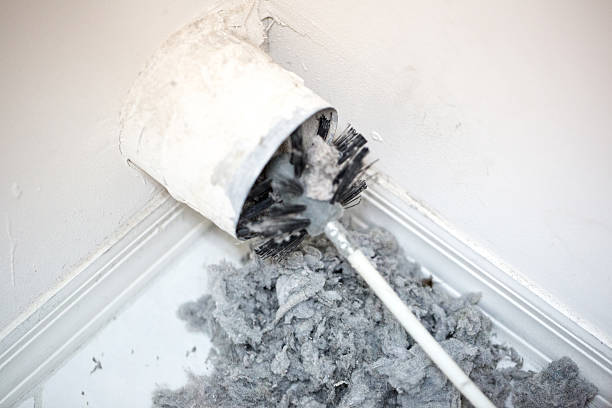 Best Air Duct Mold Removal  in Rock Hill, MO